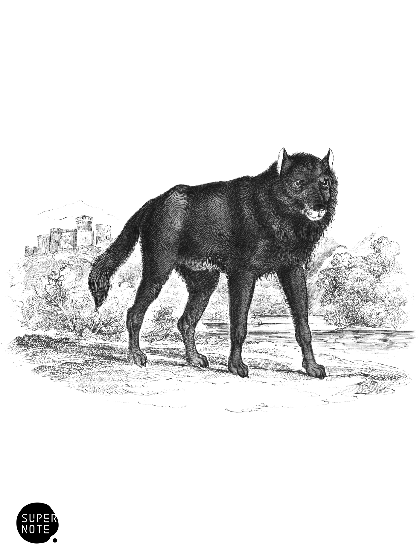 Black Wolf (vol-25 plate-2).png