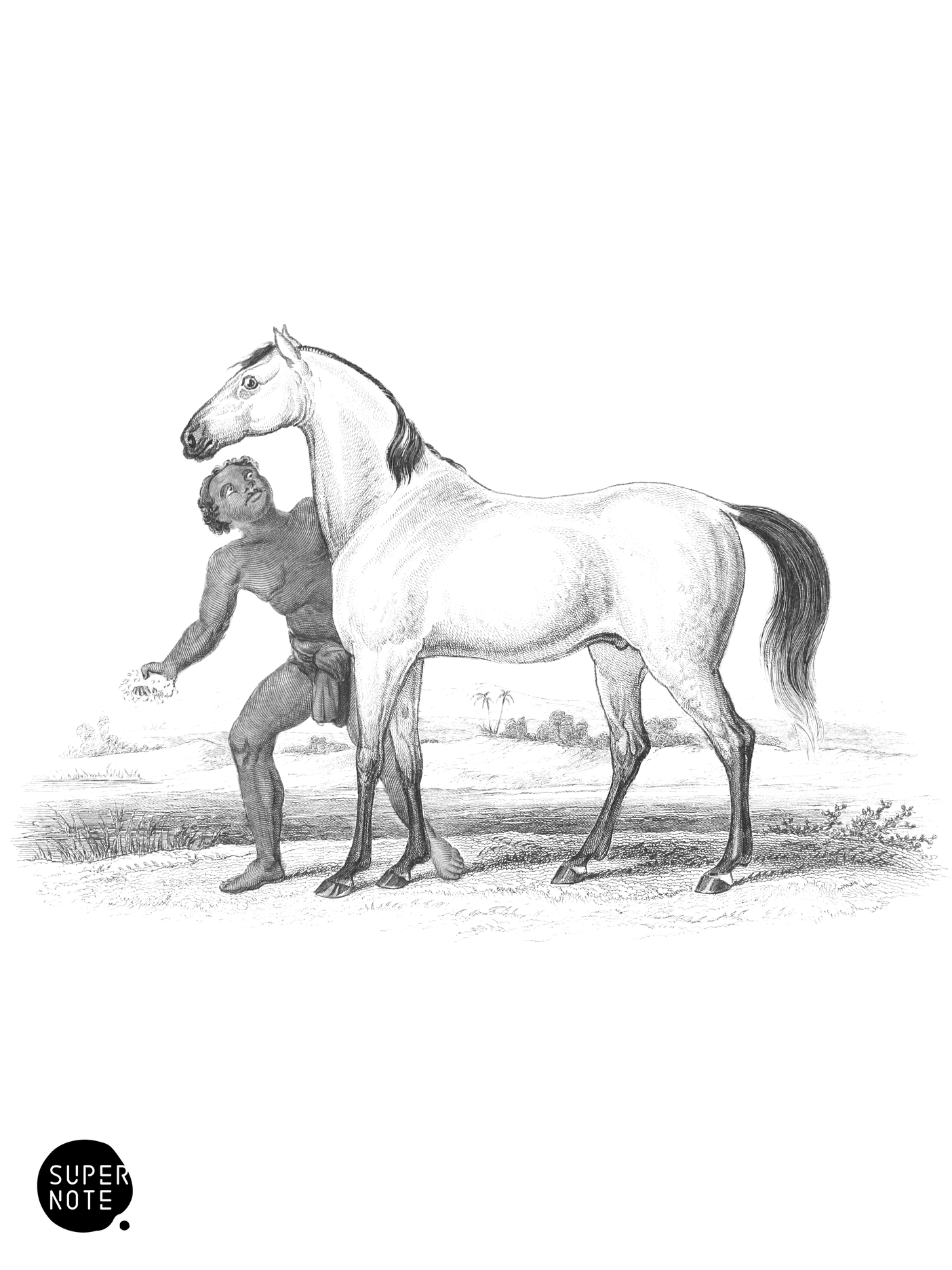 Bornou White Race of Africa (vol-31 plate-10).png