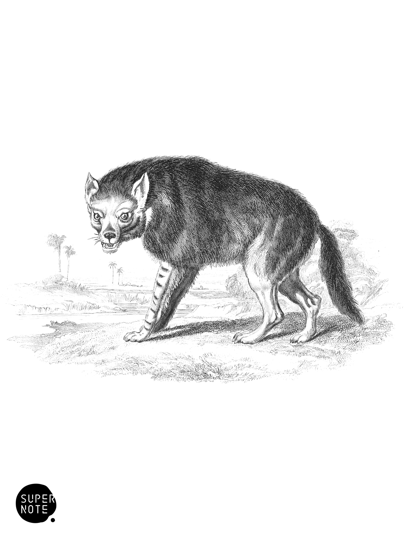 Brown Hyæna (vol-28 plate-28).png