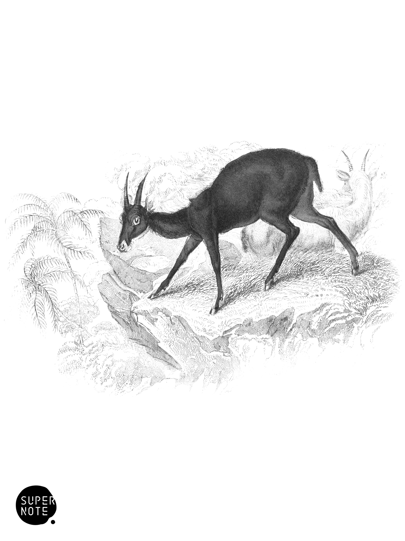 Cambing Ootan (vol-12 plate-2).png