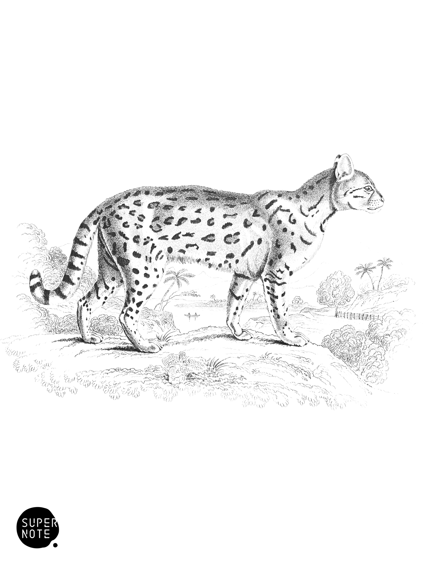 Chati (vol-04 plate-14).png
