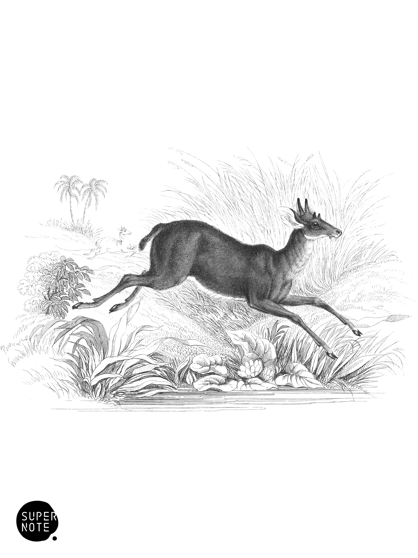 Chickara (vol-11 plate-31).png