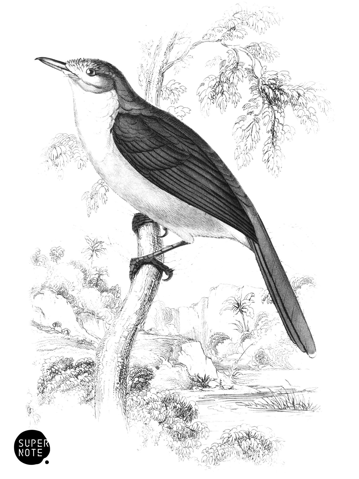 Climbing Leaflove (vol-17 plate-30).png
