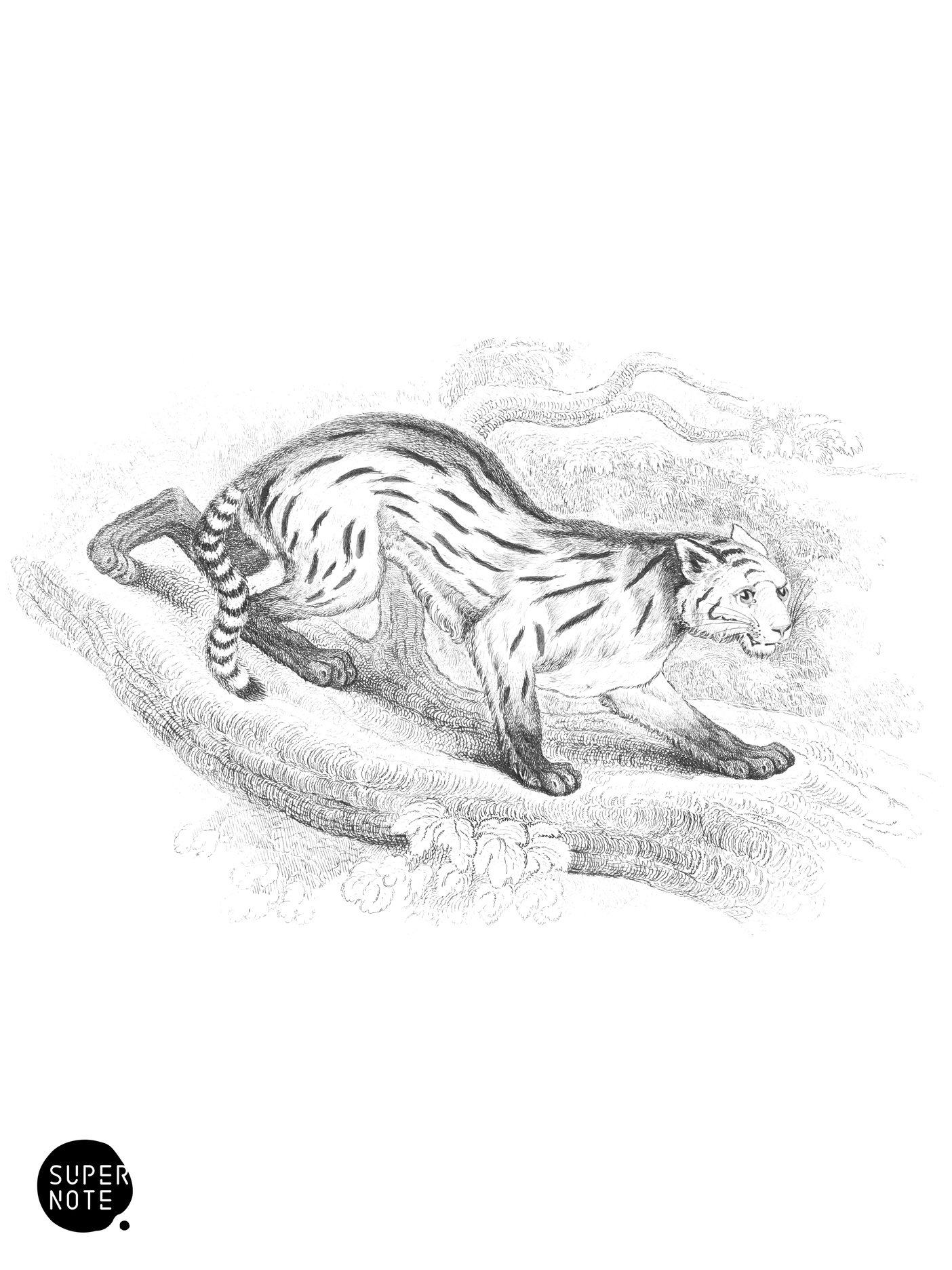 Colocolo (vol-04 plate-26).png