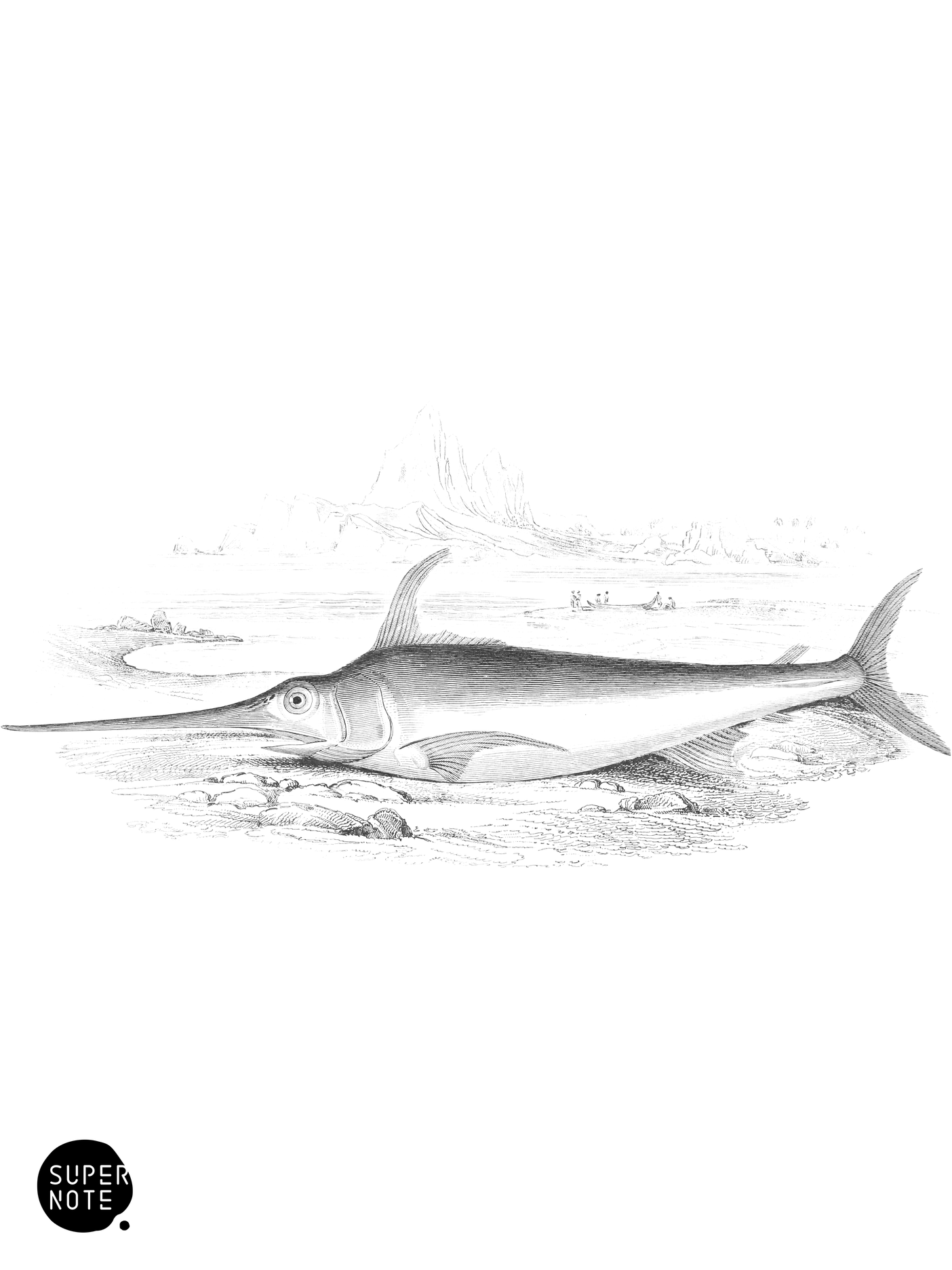 Common Sword-Fish (vol-27 plate-29).png