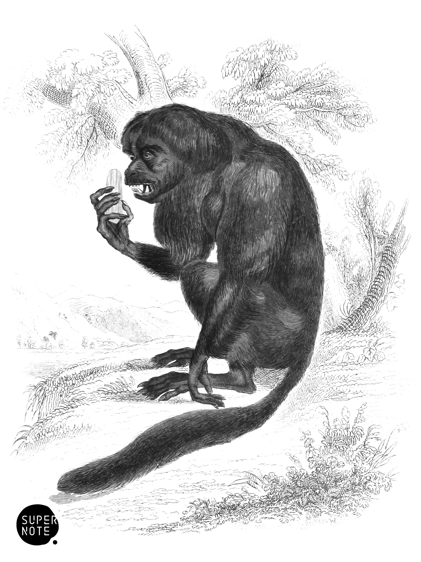 Couxio (vol-02 plate-25-lizars).png