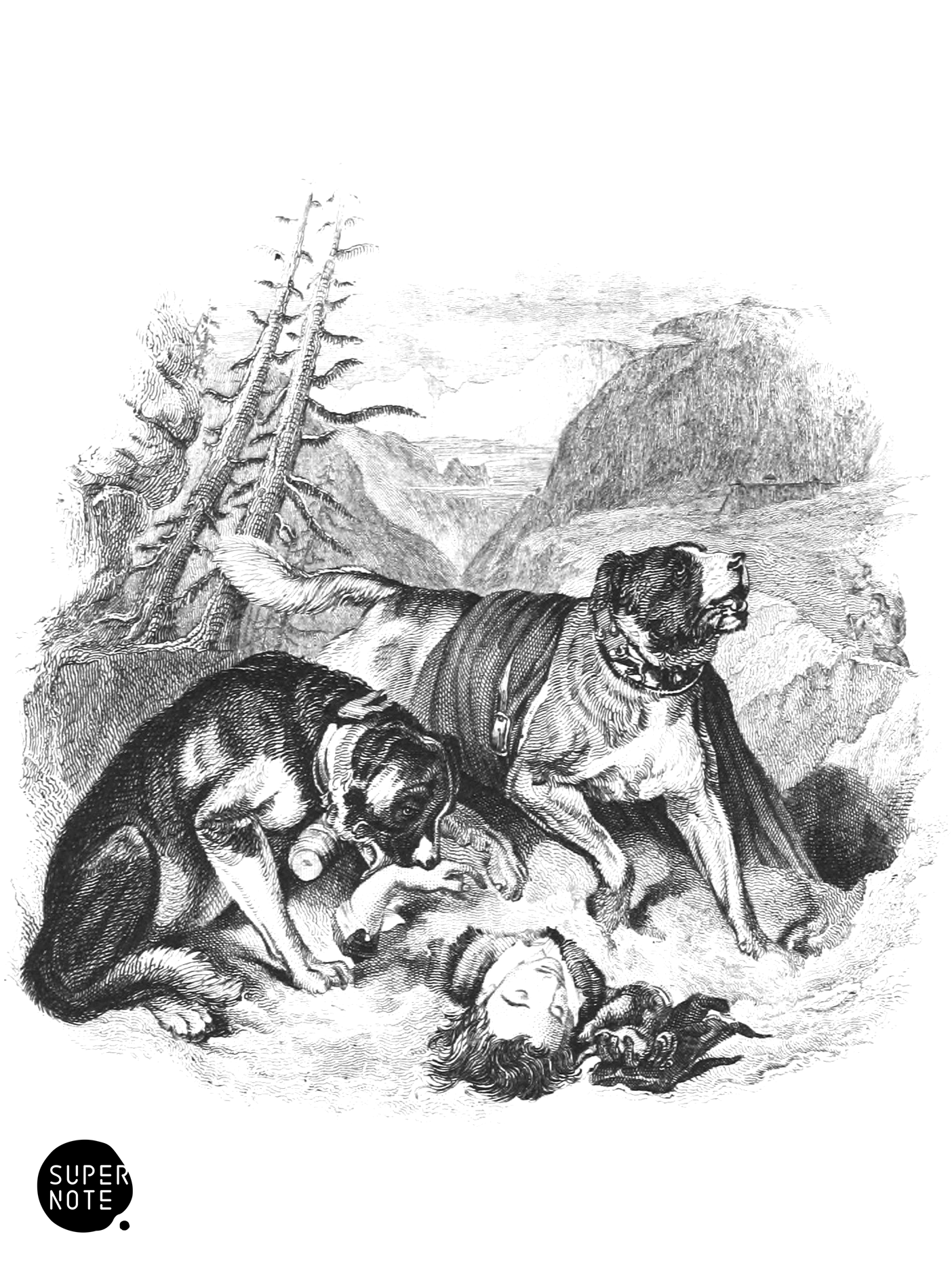 Dogs of Mount Saint Bernard (vol-25 vignette).png