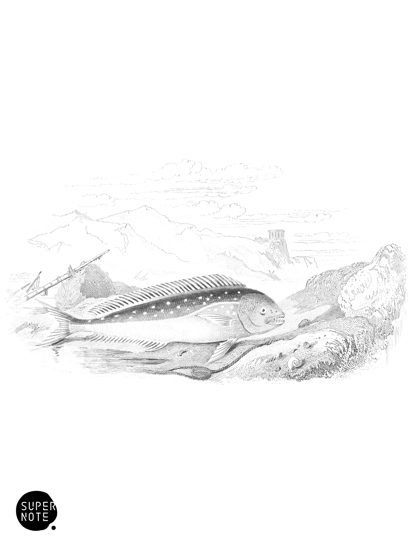 Dolphin of the Ancients (vol-27 plate-24).png