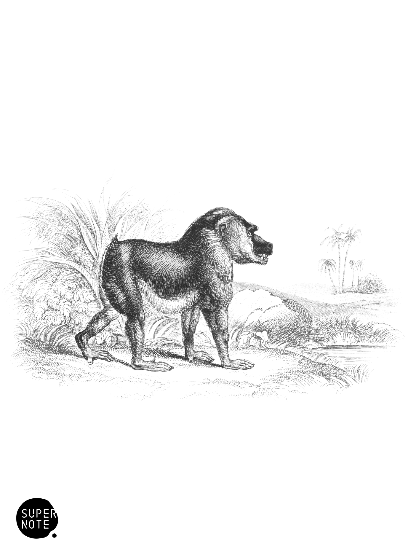 Drill (vol-02 plate-18-cw).png