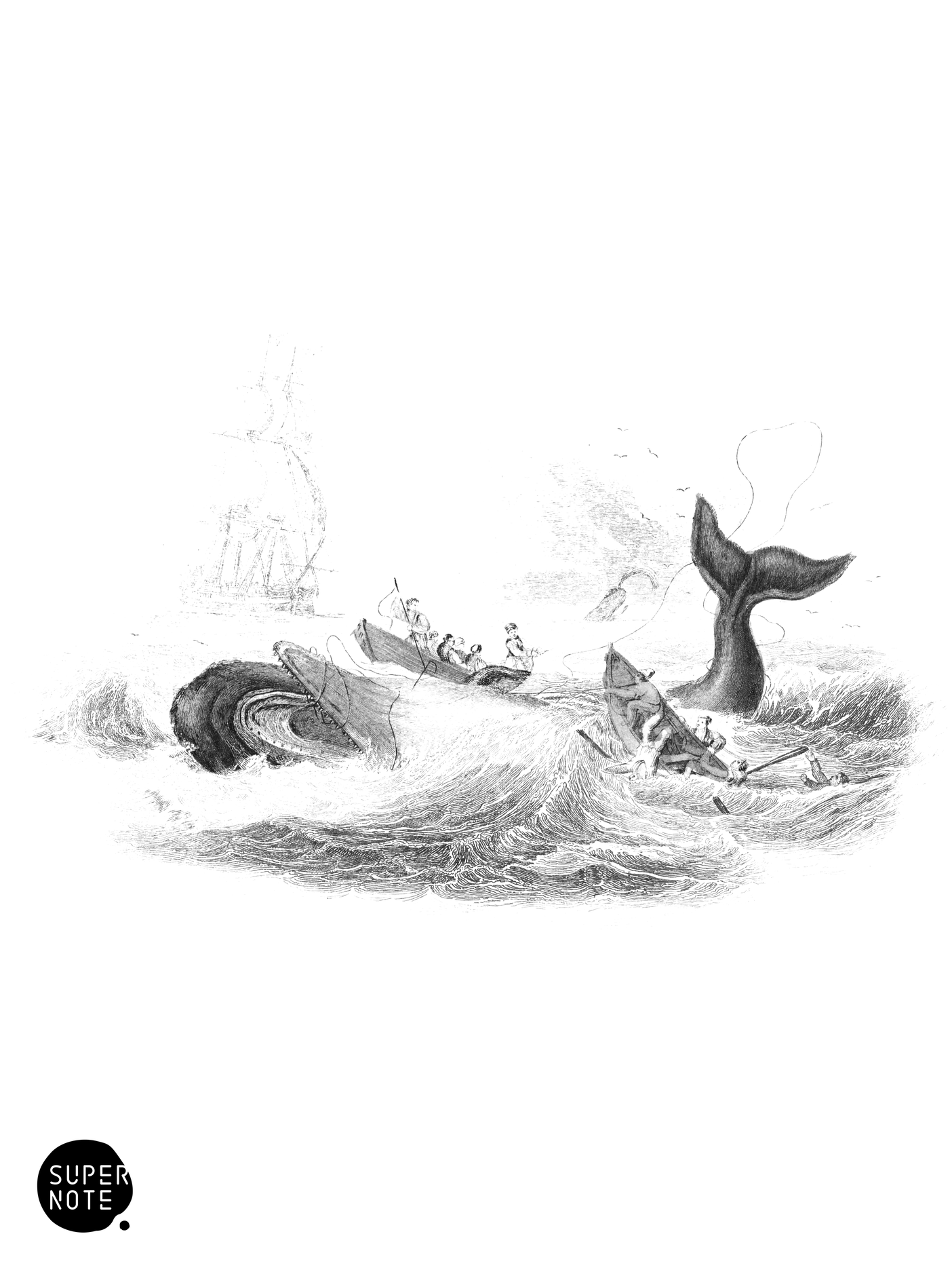 Dying Struggles of the Spermaceti Whale (vol-16 plate-10).png