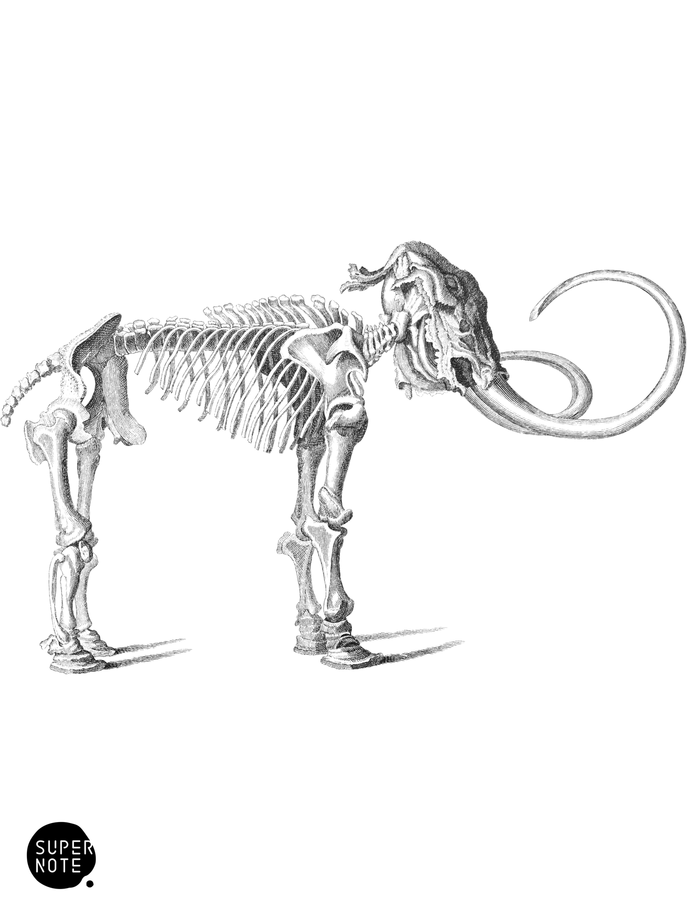 Elephant of the Lena (vol-13 plate-5).png