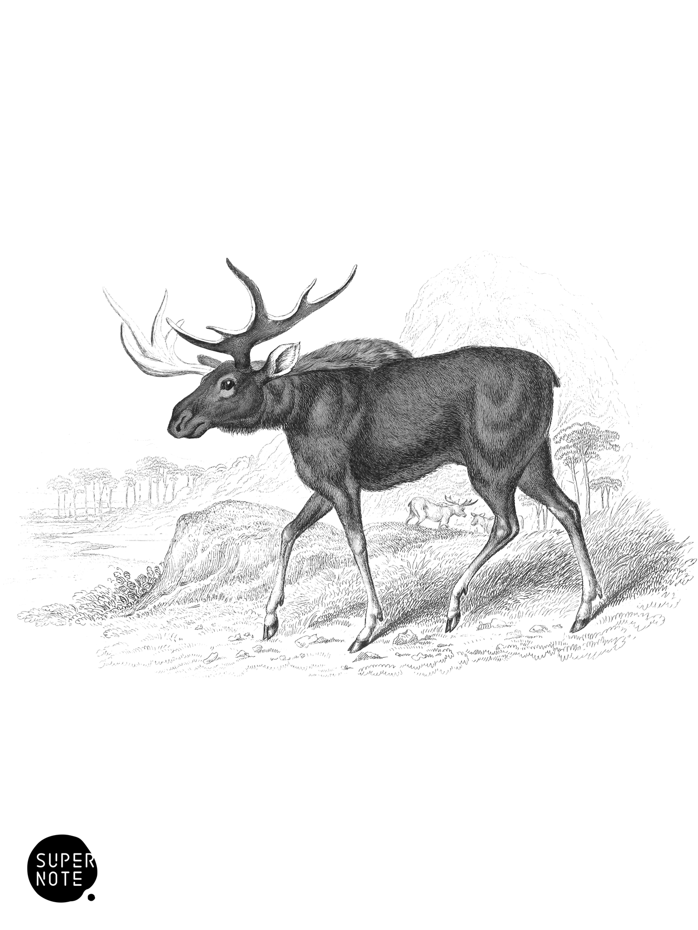 Elk, or Moose (vol-11 plate-5).png