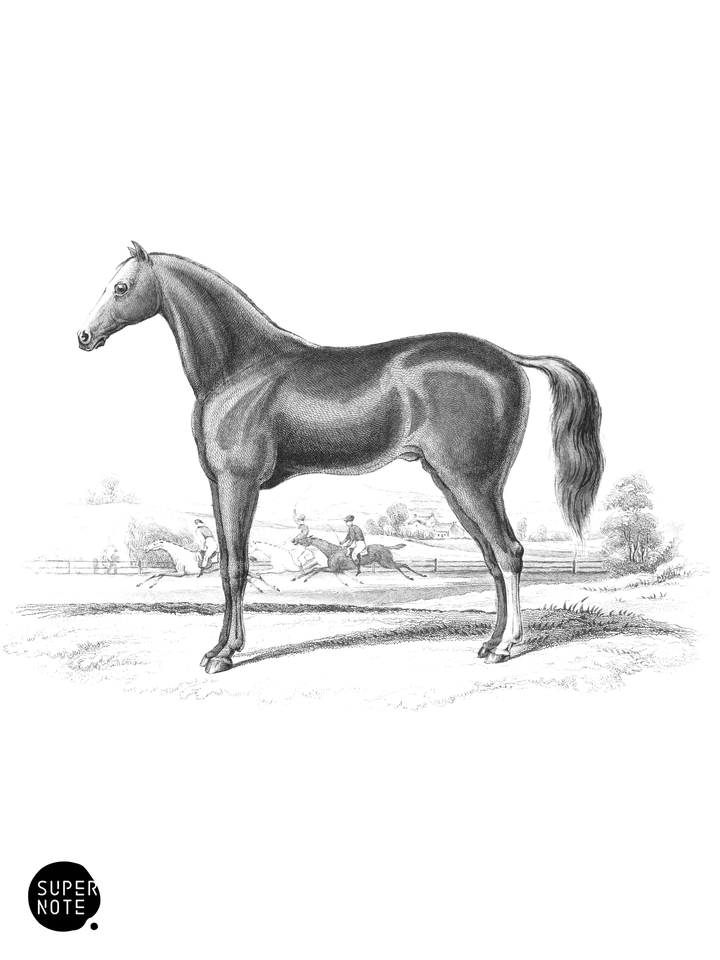 English Race-Horse (vol-31 plate-9).png