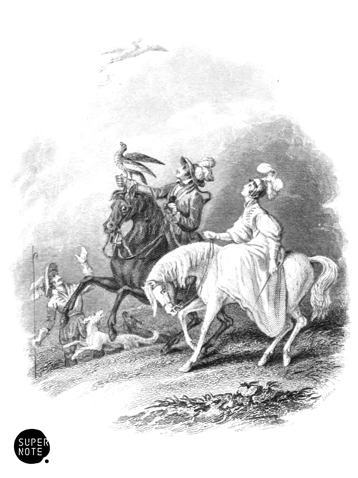 Falconer (vol-20 vignette).png