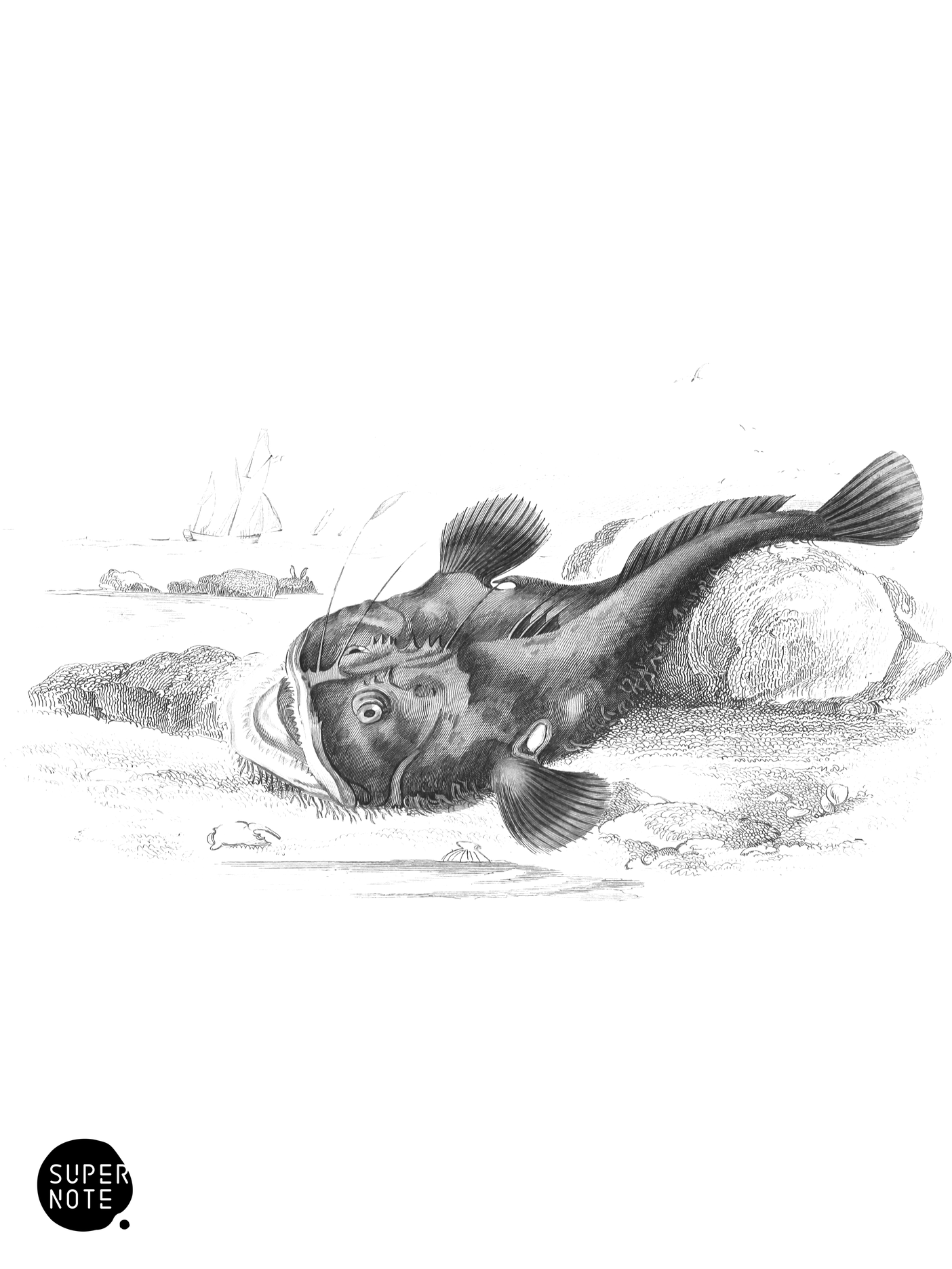 Fishing-Frog (vol-37 plate-21).png
