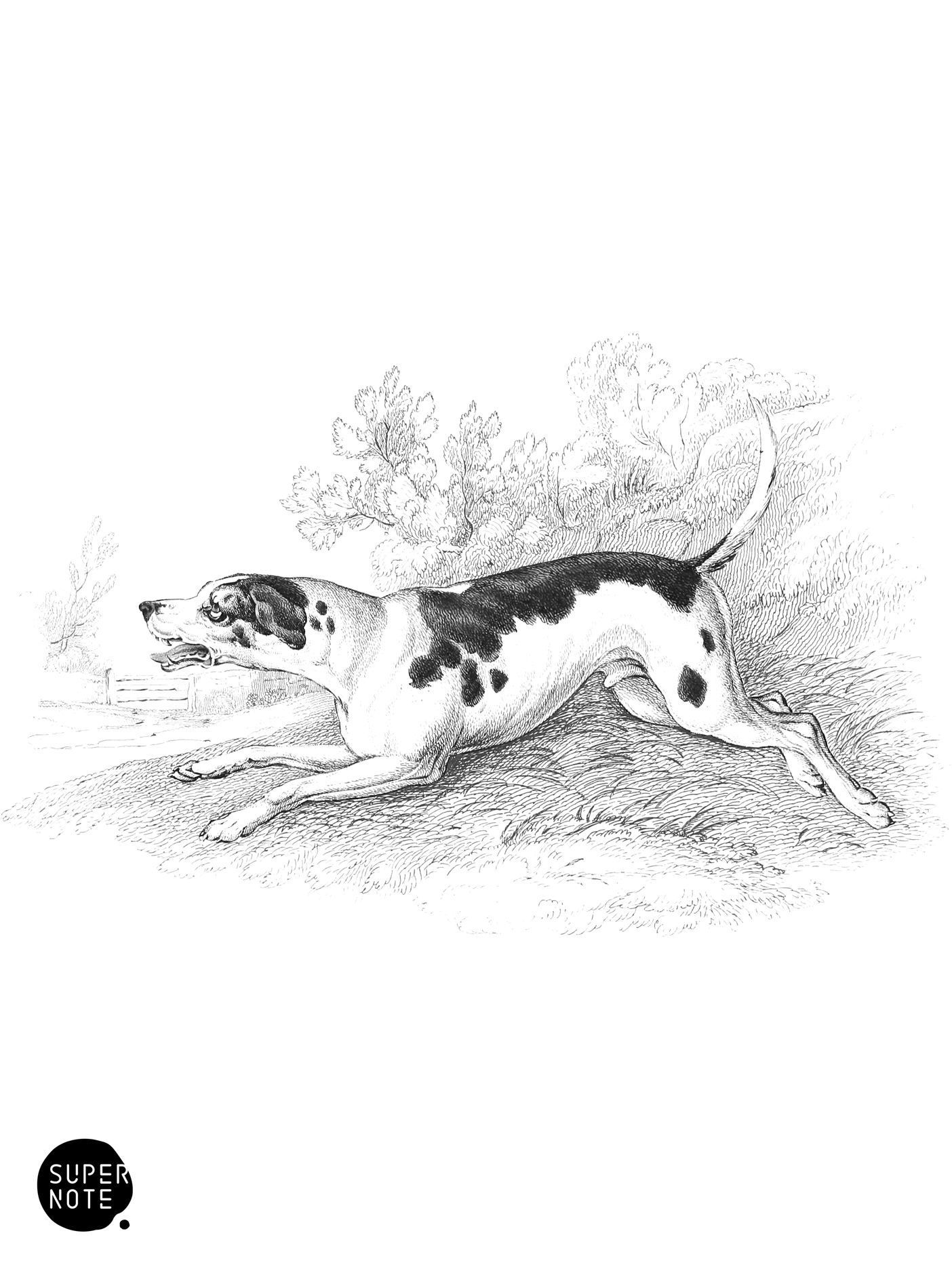 Fox-Hound (vol-28 plate-12).png