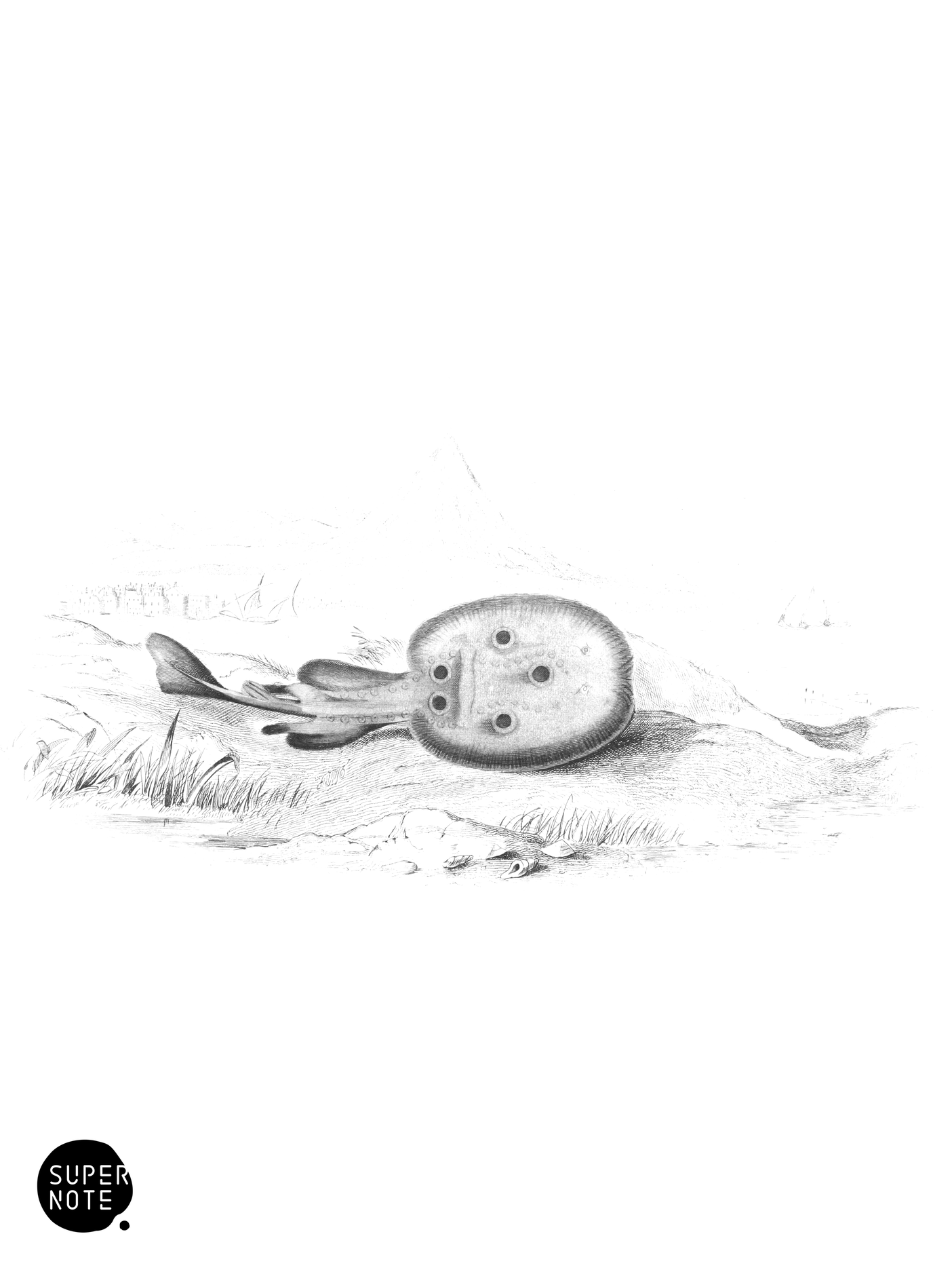 Galvani’s Torpedo (vol-27 plate-26).png
