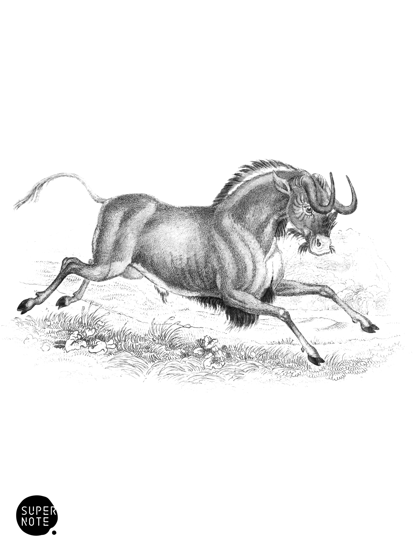 Gnoo (vol-12 plate-22).png