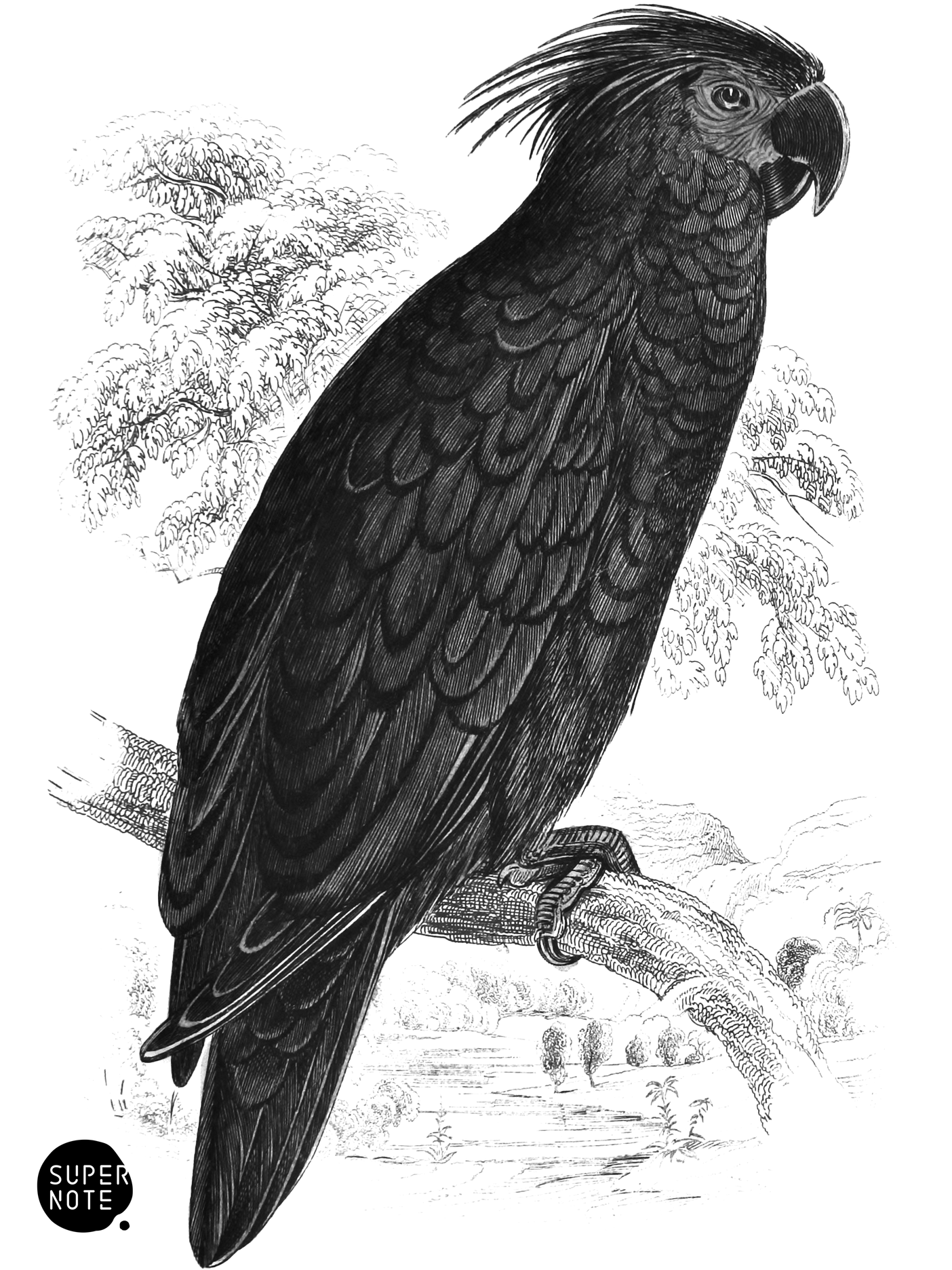 Goliah Aratoo (vol-15 plate-16).png