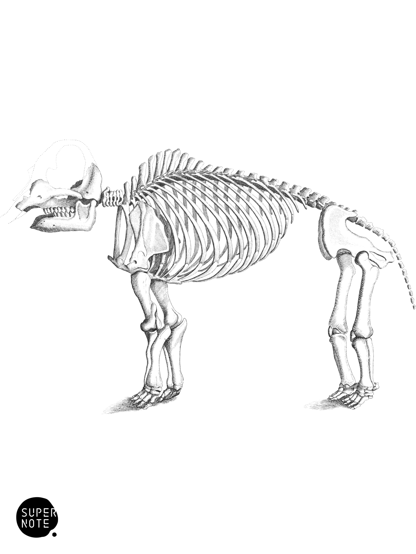 Great Mastodon (vol-13 plate-6).png