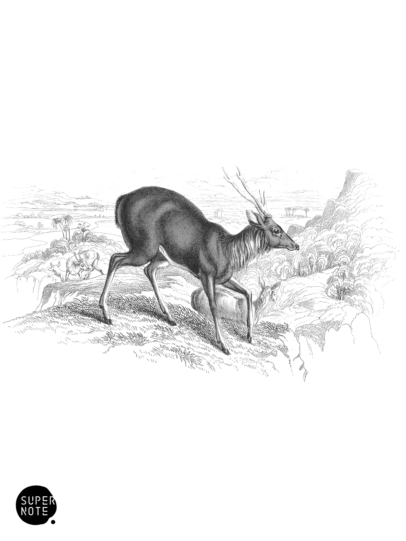 Great Rusa (vol-11 plate-11).png
