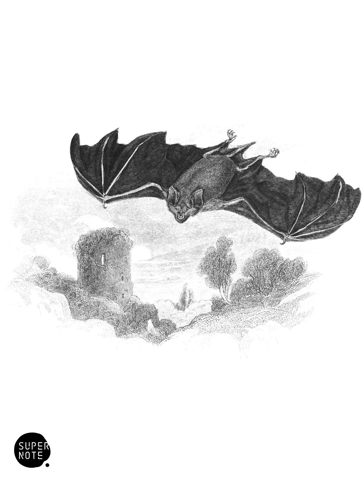 Greater Horse-Shoe Bat (vol-22 plate-1).png