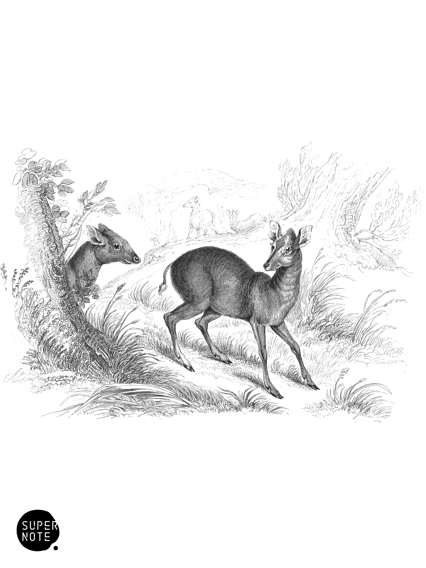 Grim (vol-11 plate-32).png