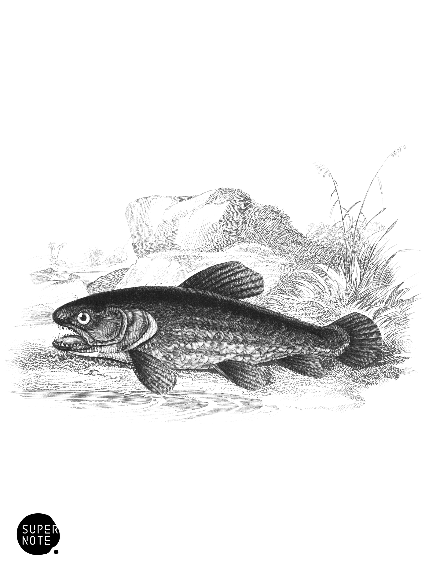 Haimura (vol-32 plate-27).png