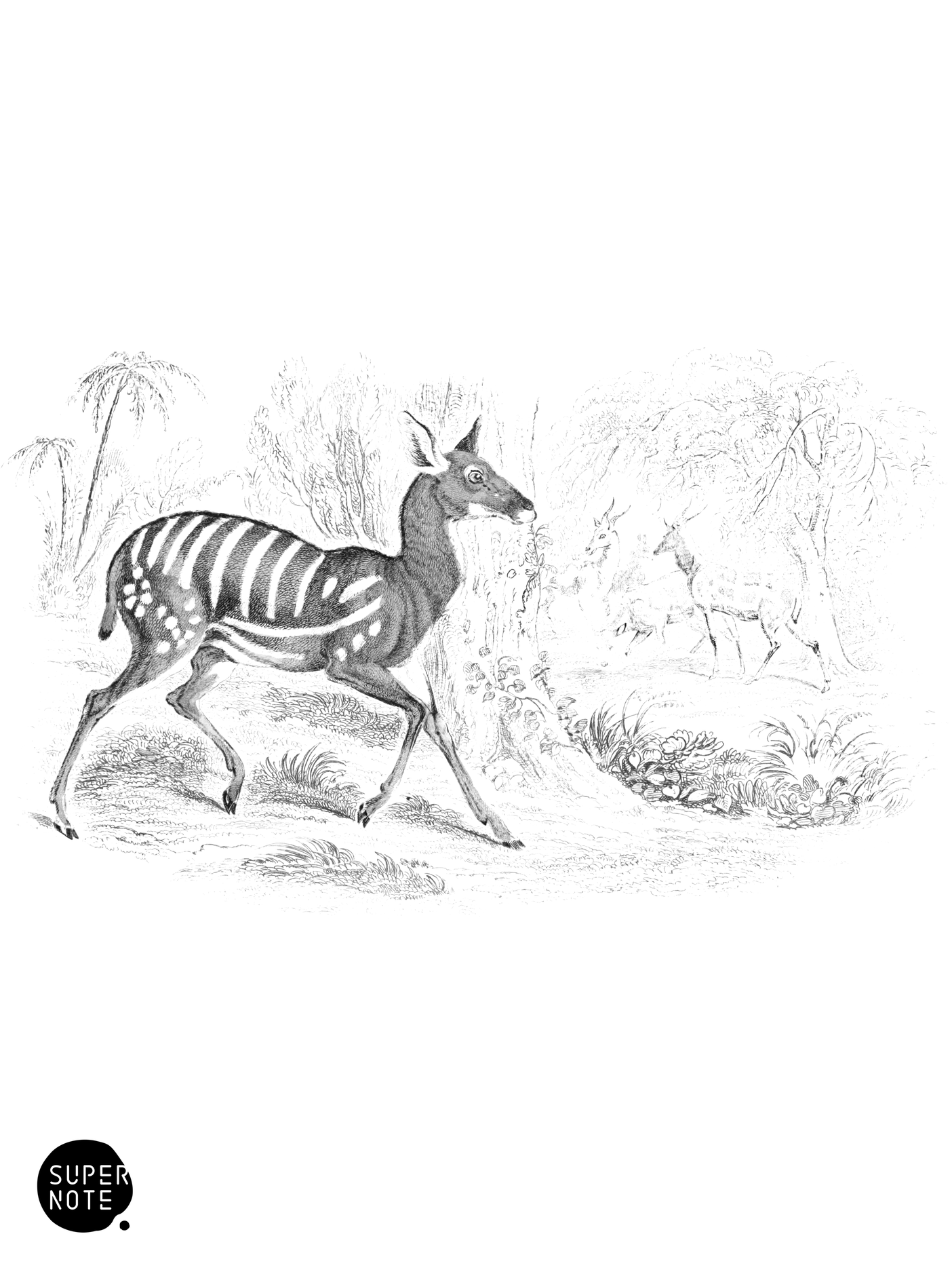 Harnessed Antelope (vol-12 plate-1).png