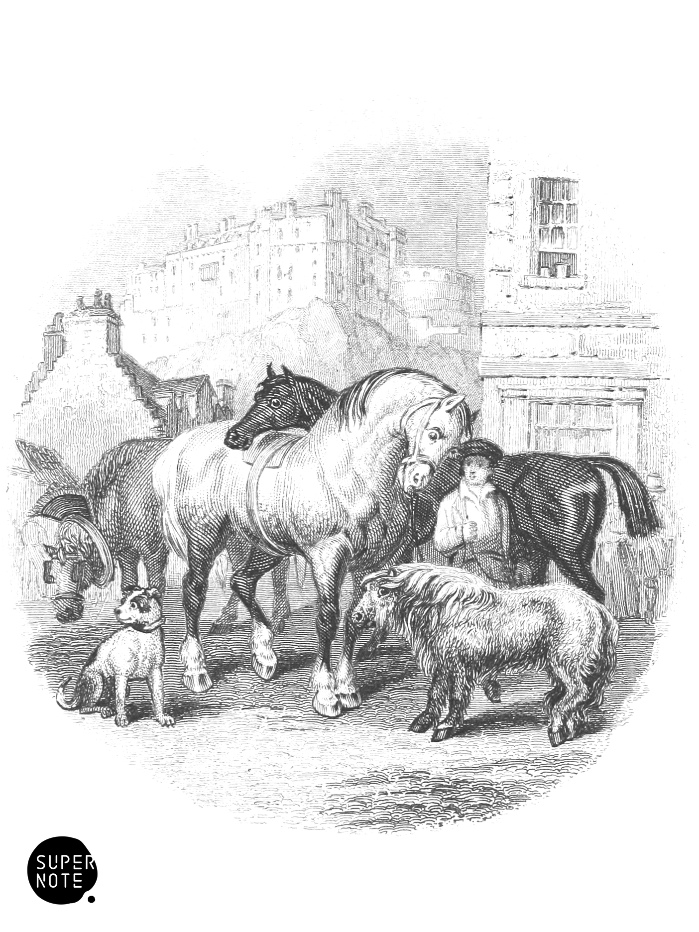 Horses & Shetland Pony (vol-31 vignette).png