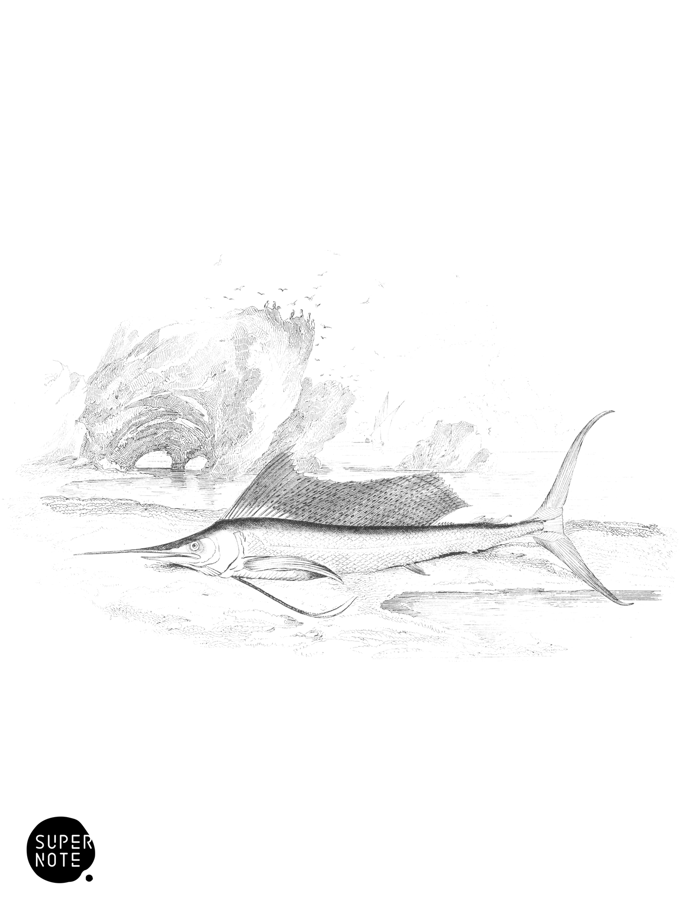 Indian Histiophorus (vol-27 plate-30).png