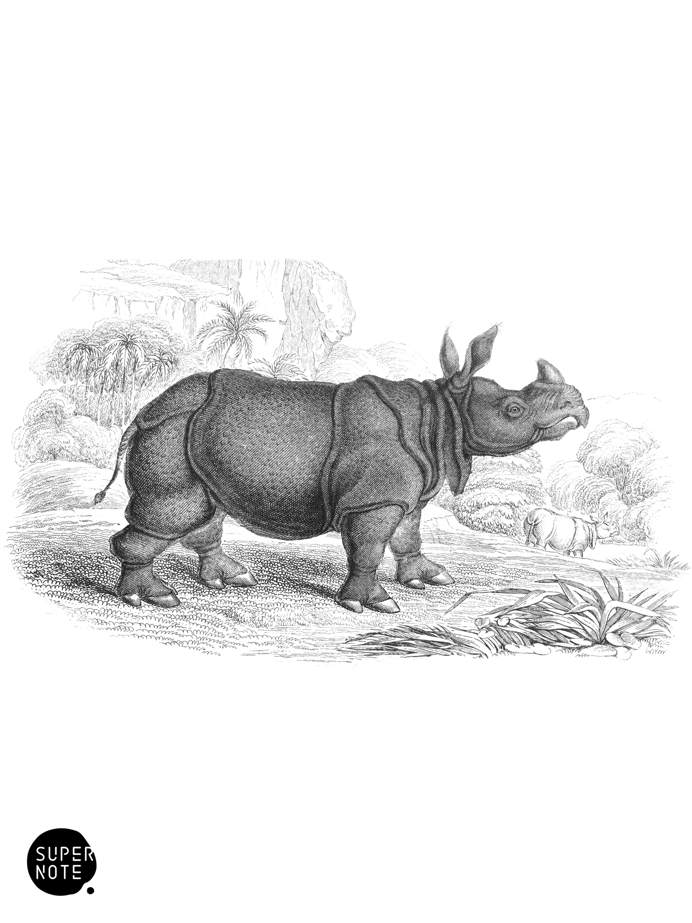 Indian Rhinoceros (vol-13 plate-8).png