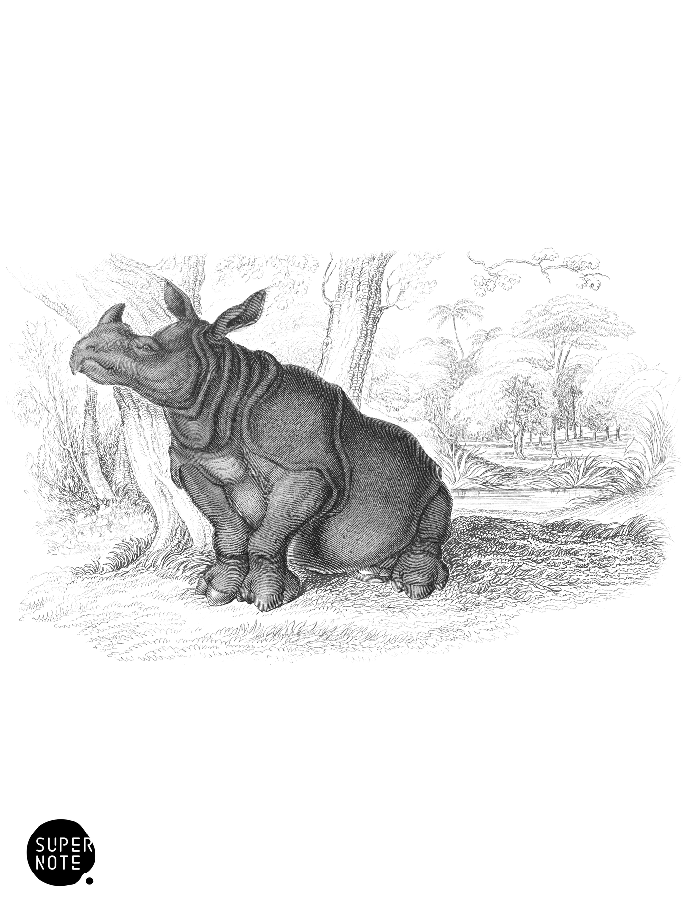 Indian Rhinoceros (vol-13 plate-9).png
