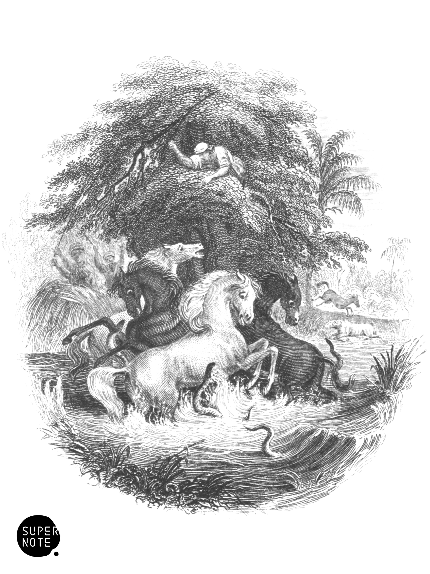 Indians Catching the Gymnotus (vol-38 vignette).png