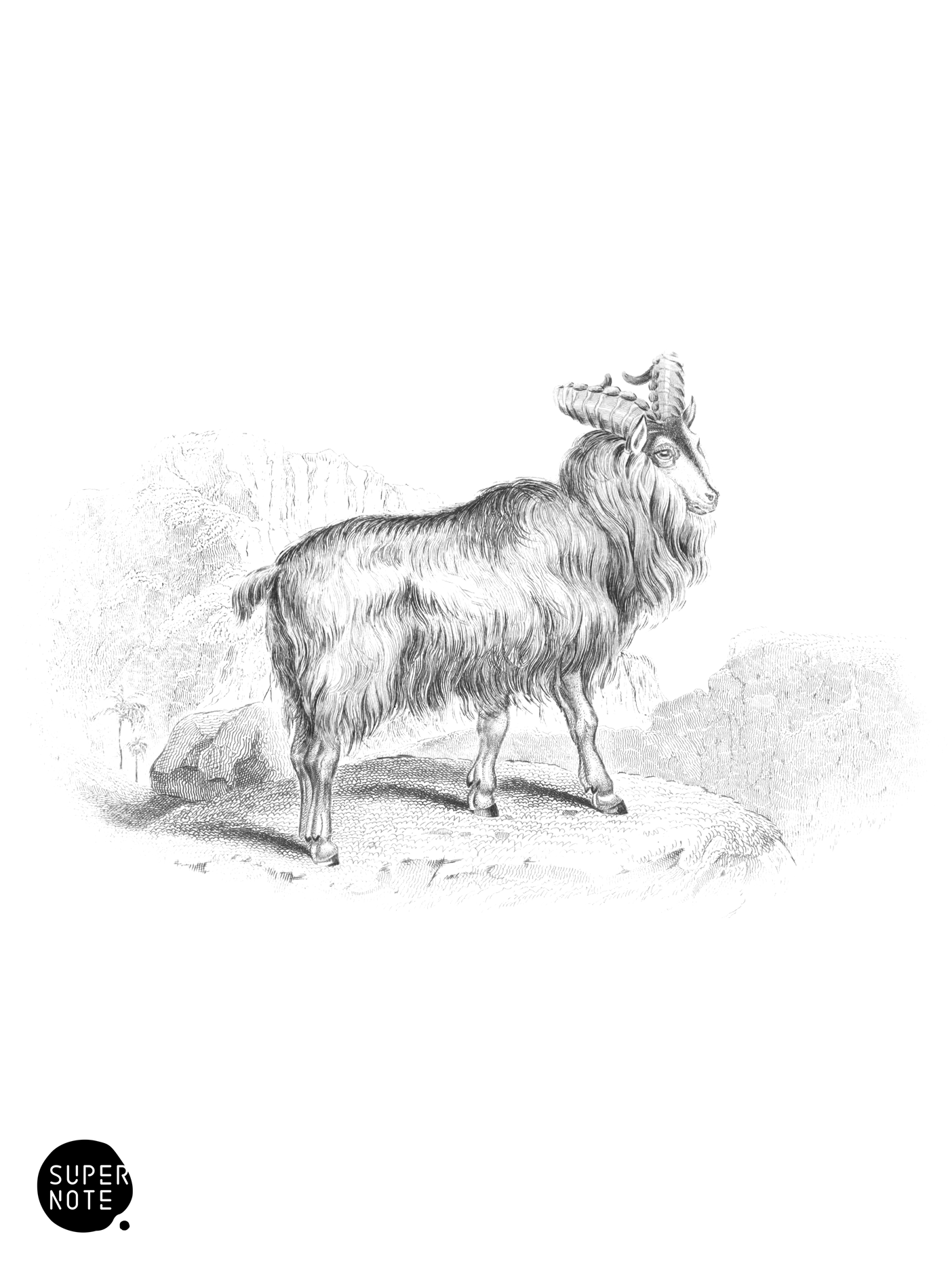 Jemlah Goat (vol-12 plate-8).png