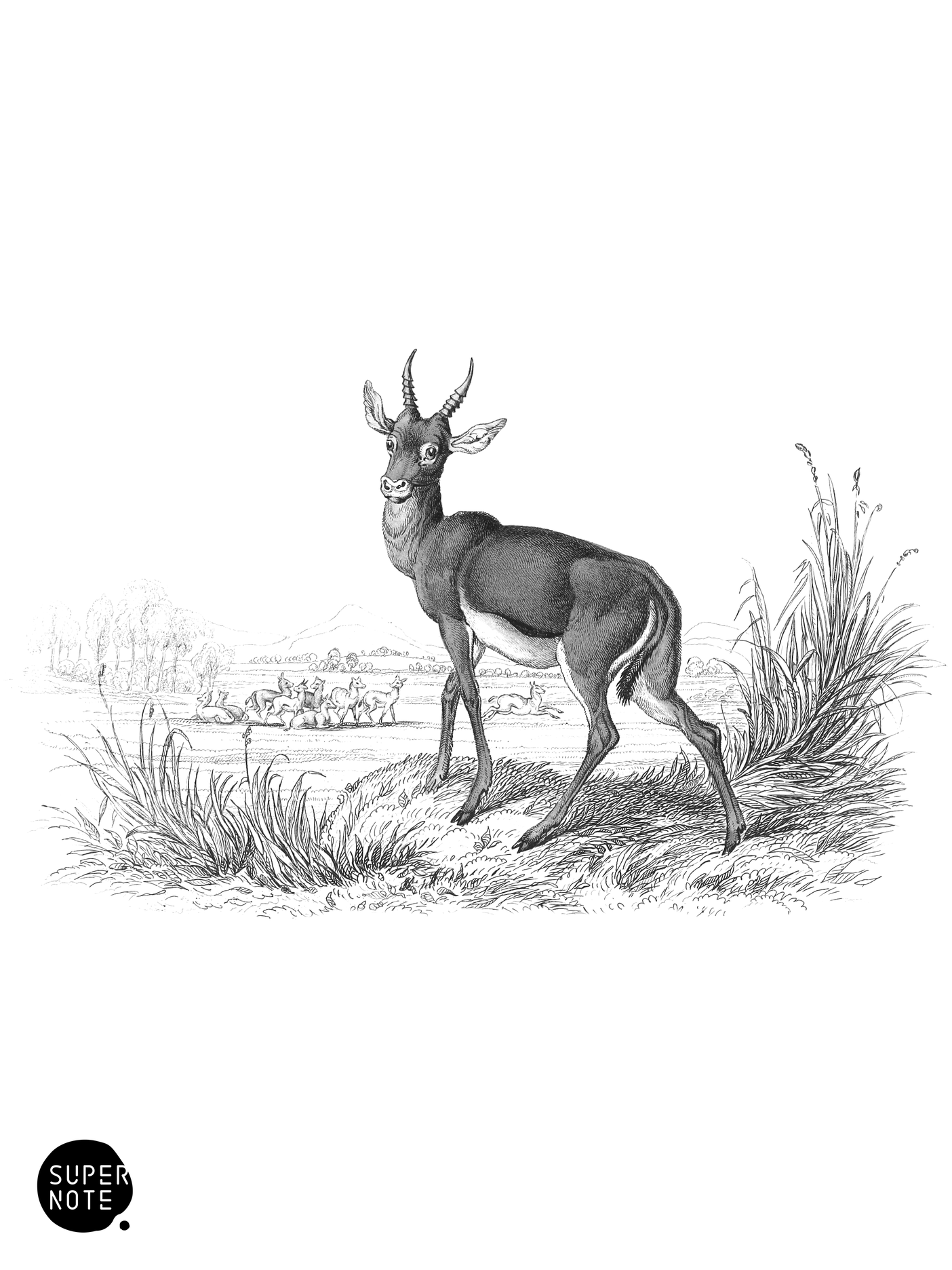 Kevel (vol-11 plate-26).png