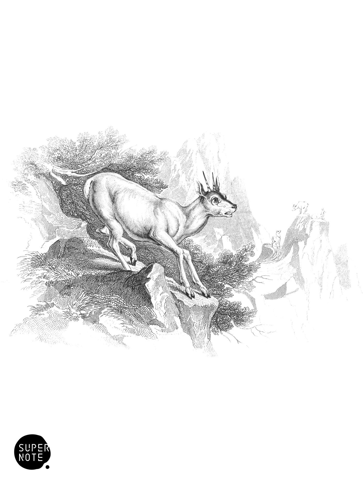 Klip Springer (vol-11 plate-30).png