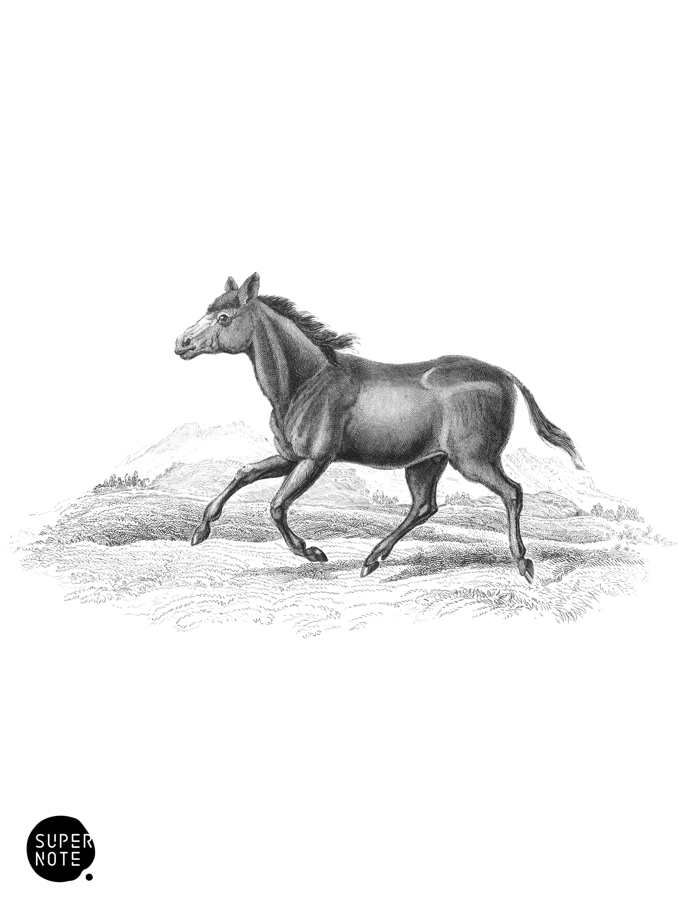 Koomrah (vol-31 plate-16).png