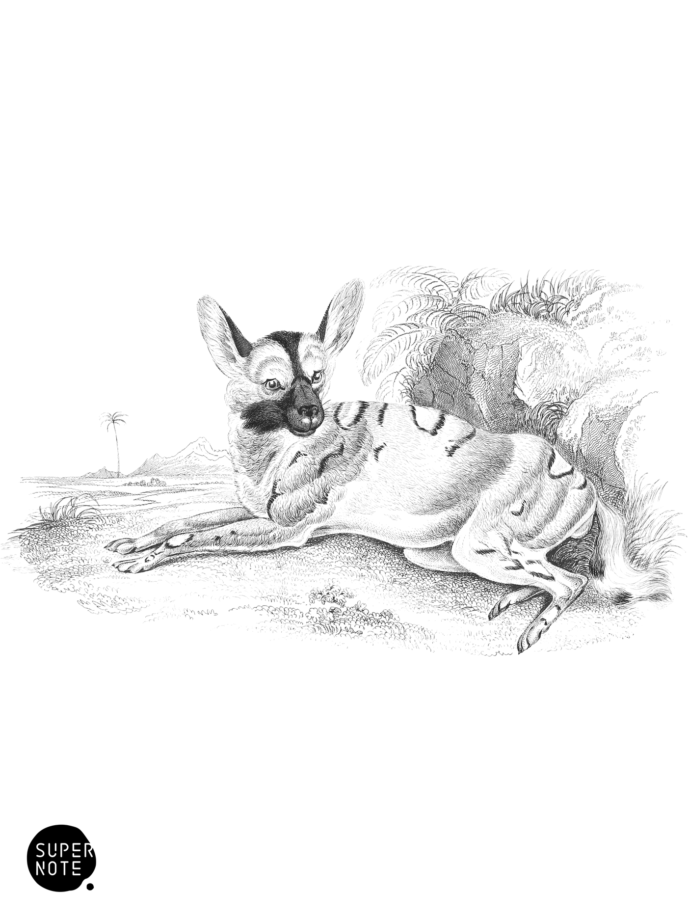 Lycaon Venaticus (vol-28 plate-24).png