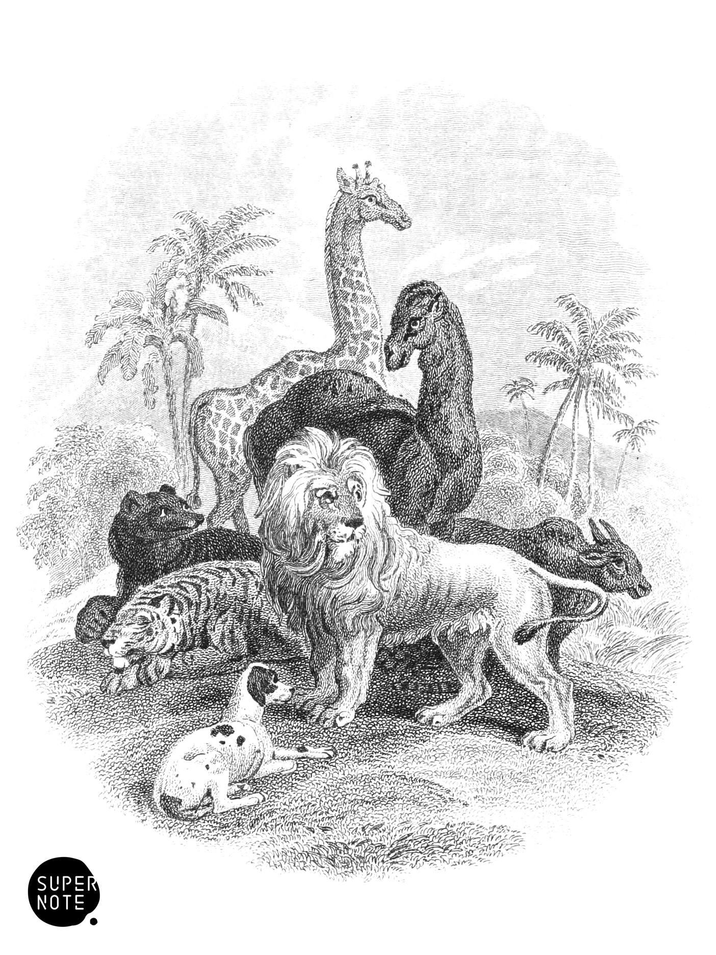 Mammals (vol-35 vignette).png