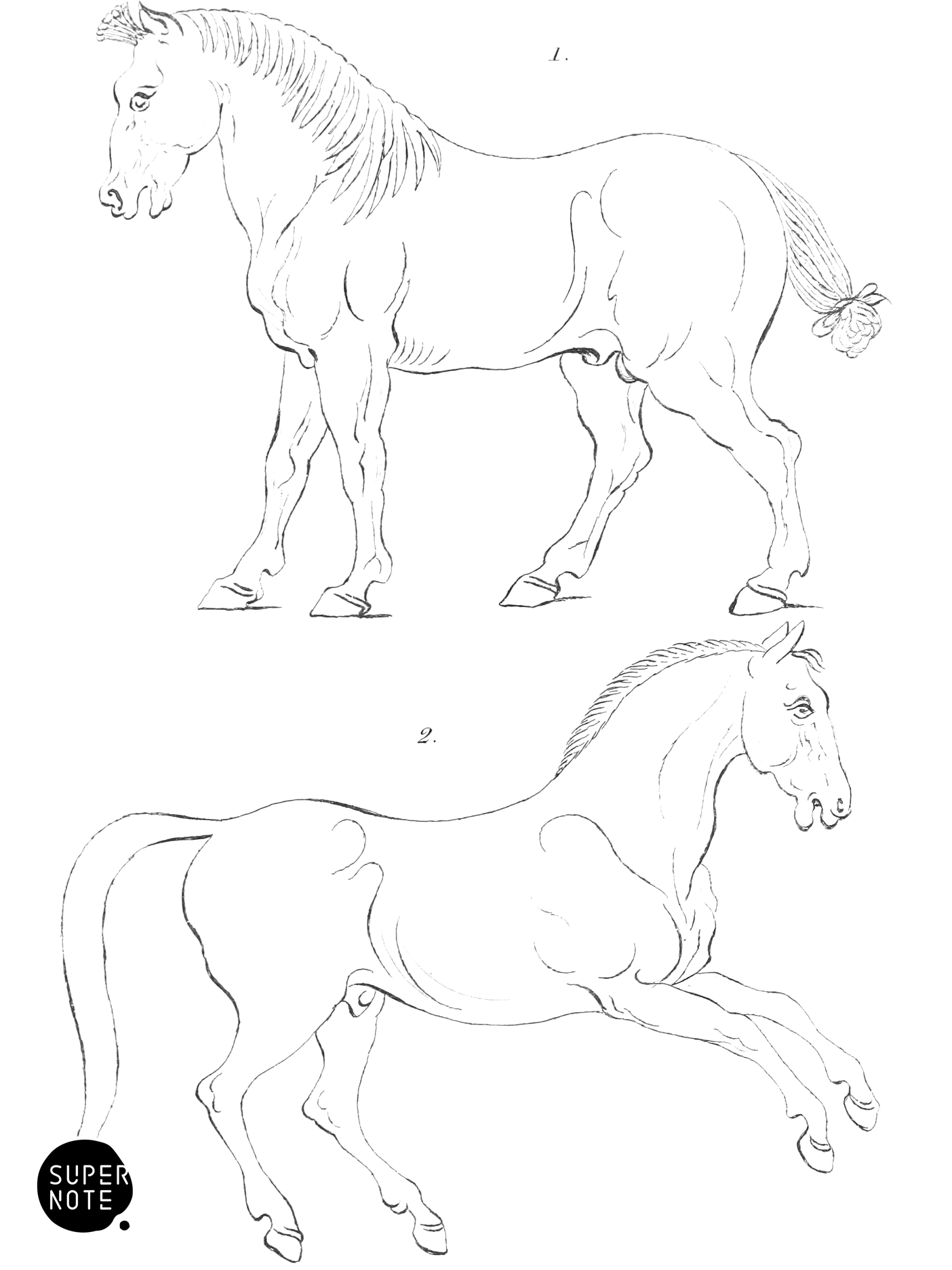 Medo-Persian and Egyptian Horses from ancient Bas-reliefs (vol-31 plate-a).png