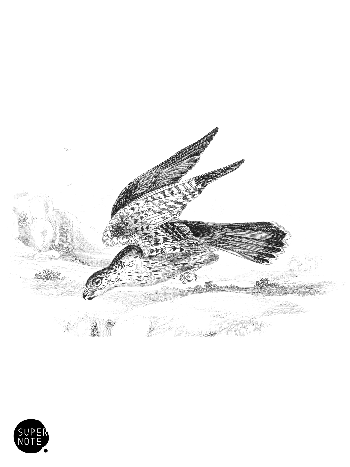 Merlin (vol-20 plate-6).png