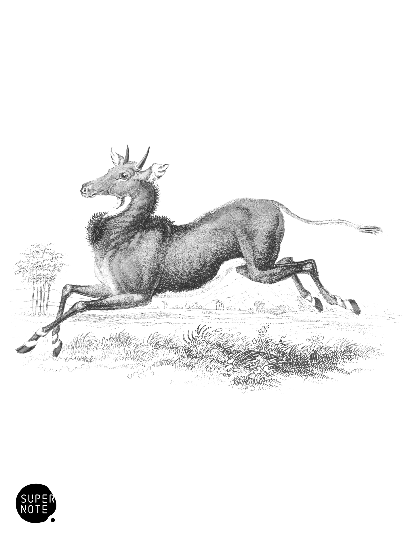 Neel-Ghau (vol-12 plate-21).png