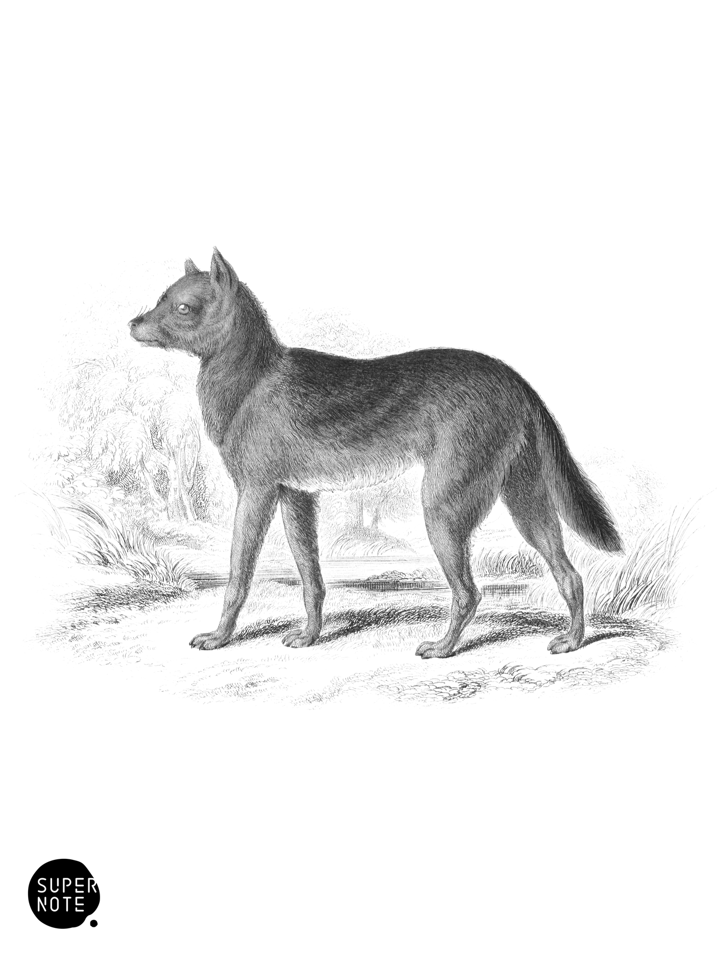 New Holland Dingo (vol-25 plate-10).png