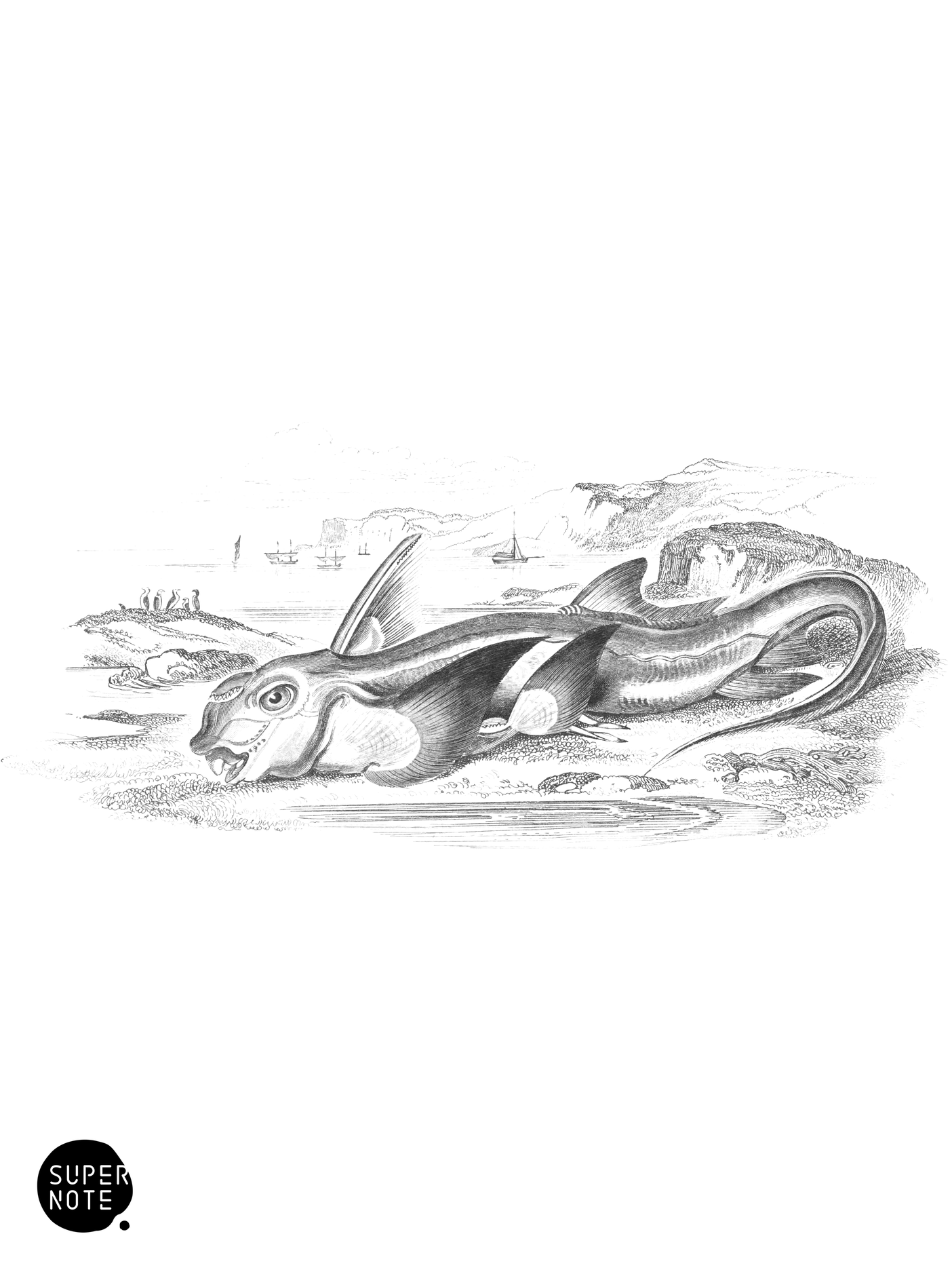 Northern Chimæra, or Rabbit-Fish (vol-39 plate-22).png