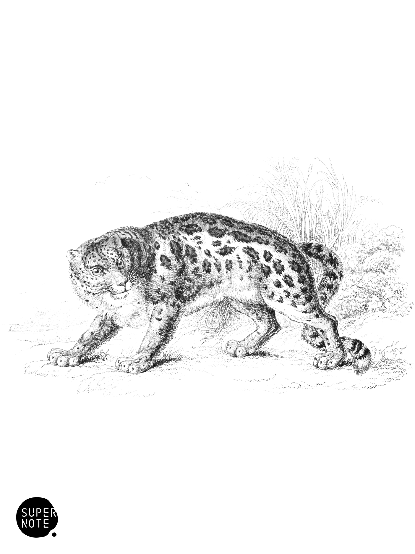 Ounce (vol-04 plate-13).png