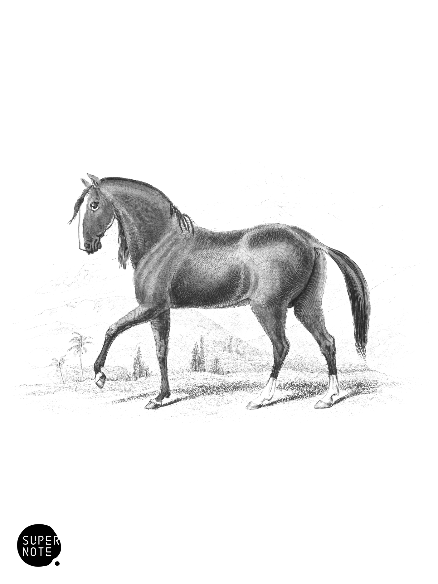 Paramero of Peru (vol-31 plate-12).png