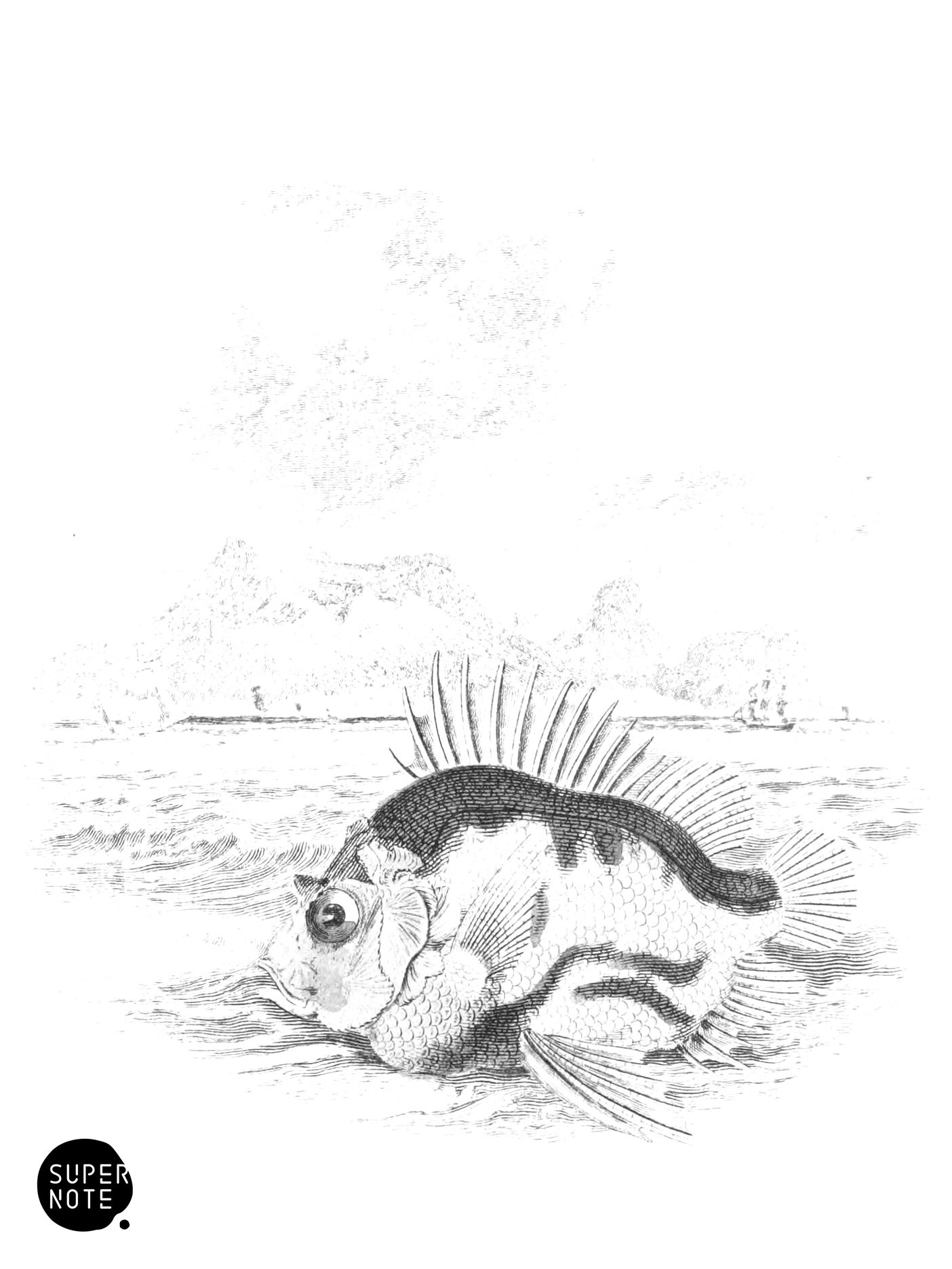 Pentaceros Capensis (vol-07 vignette).png