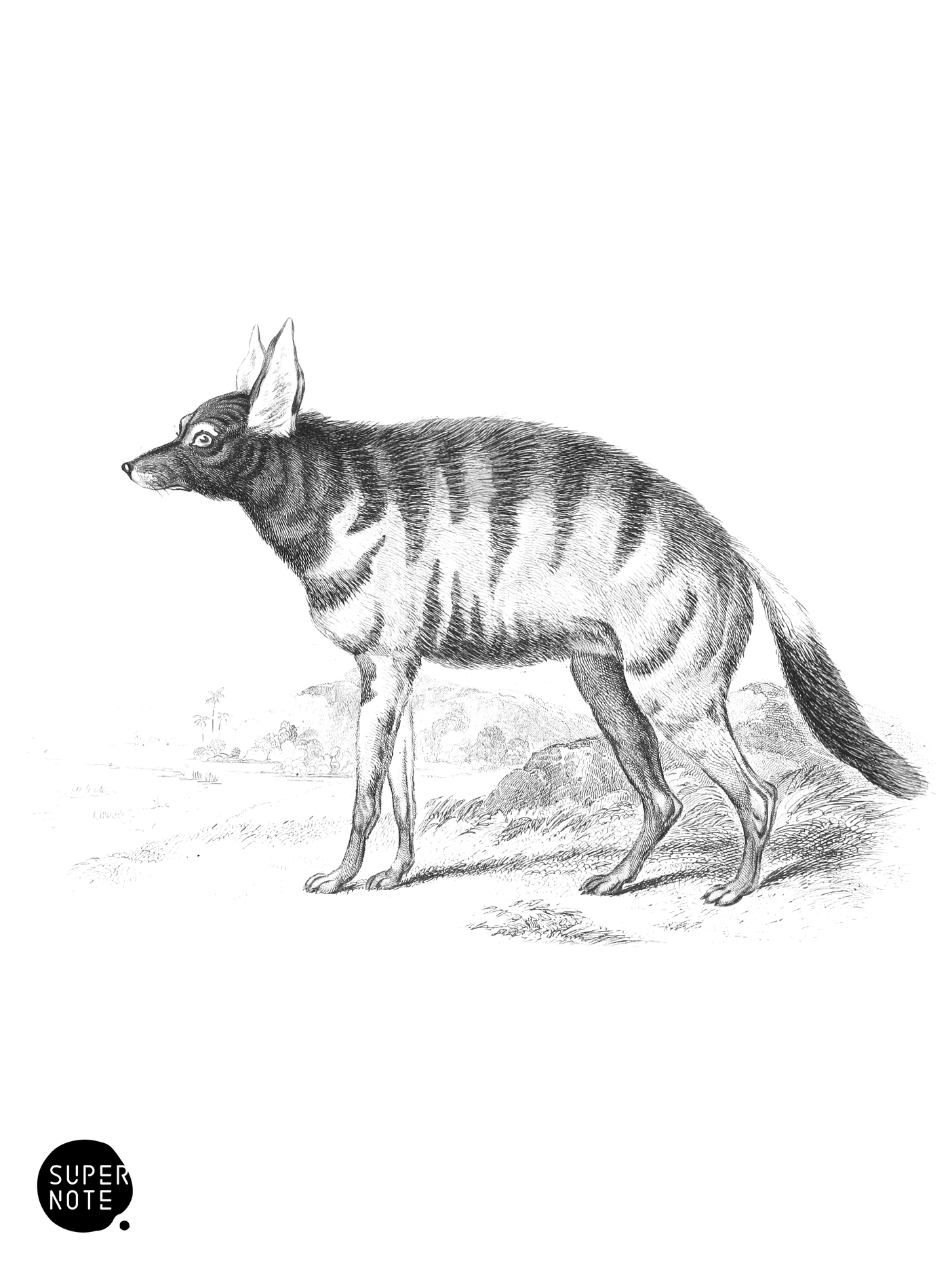 Proteles Lalandii (vol-28 plate-30).png