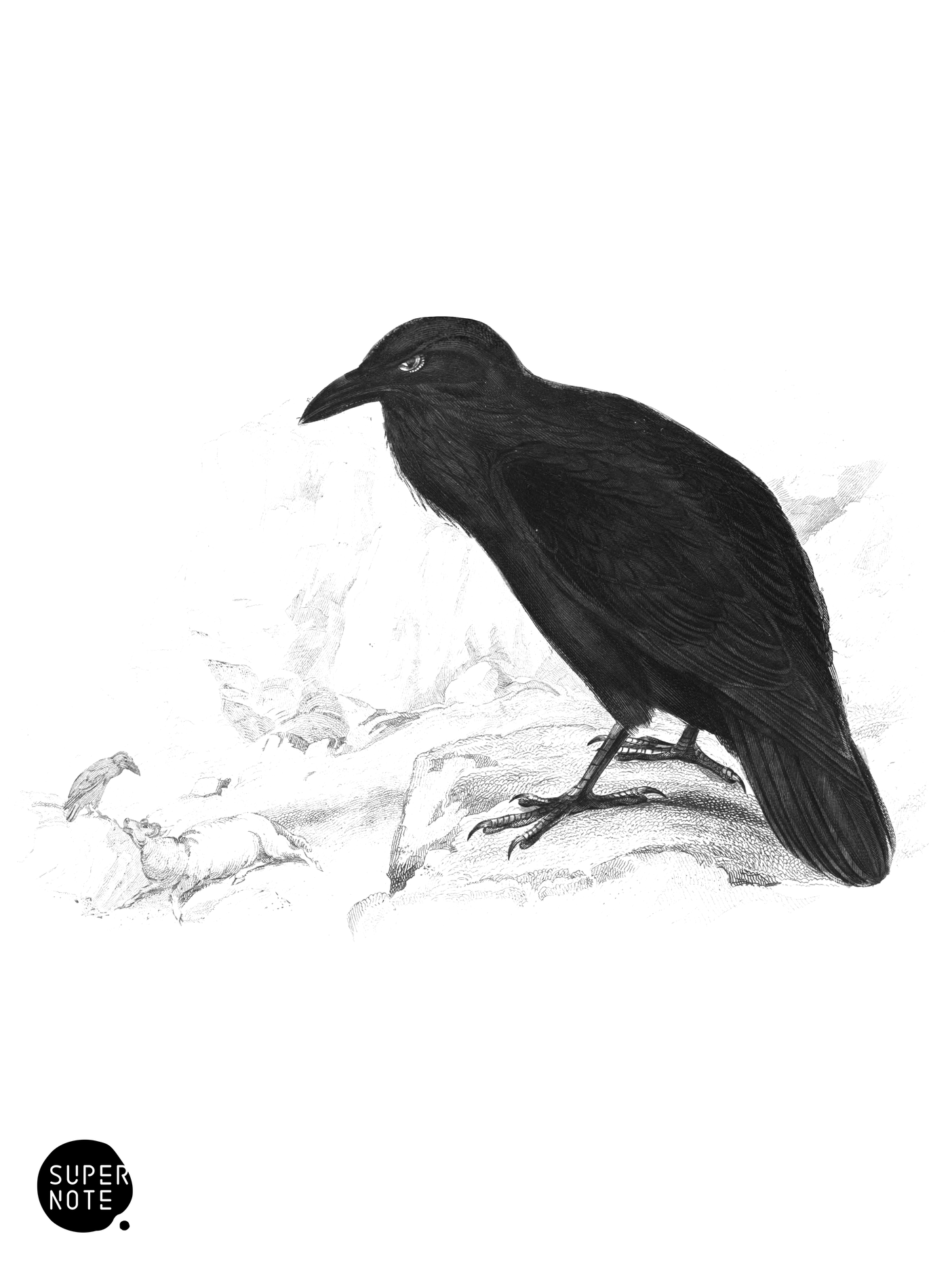 Raven (vol-24 plate-12).png
